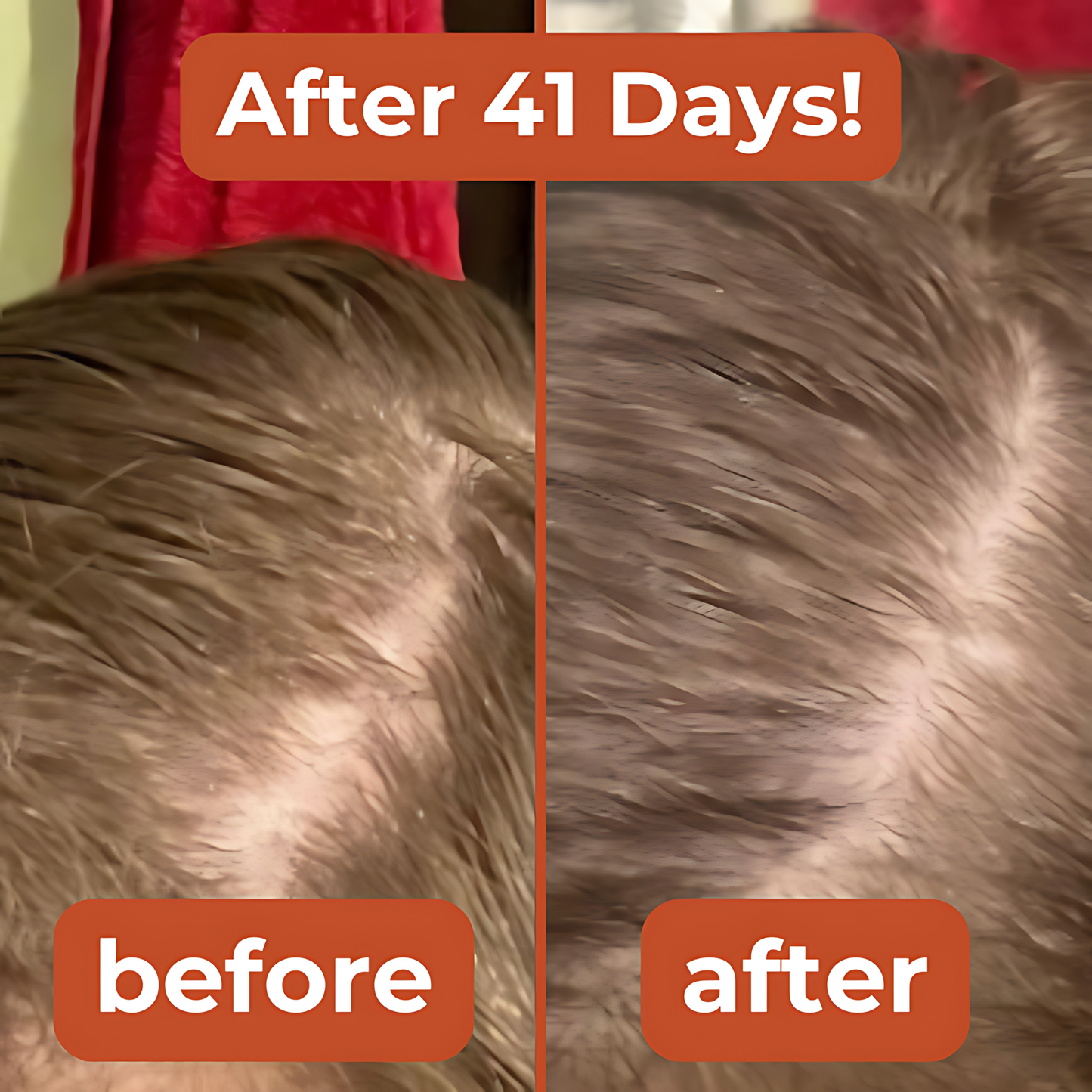 Thryv Pumpkin Seed Oil Softgels.